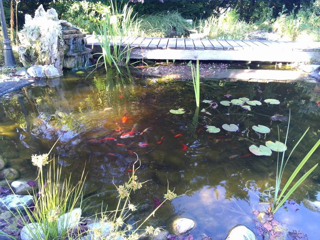 Frühstückspension Le Bassin Du Tertre